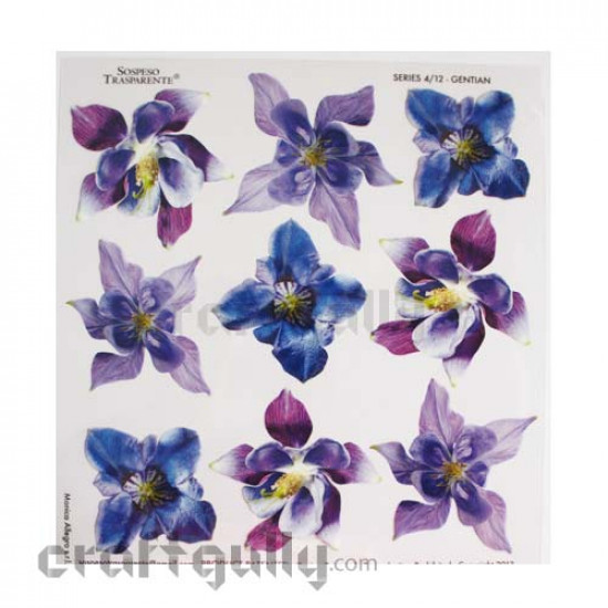 Decoupage - Sospeso Transparente - Gentian