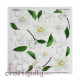 Decoupage - Sospeso Transparente - Gardenia