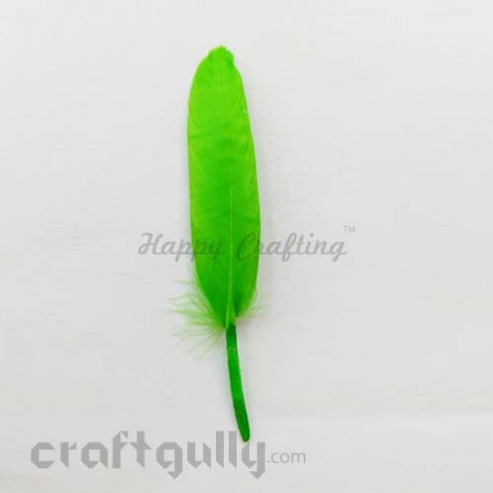 Feathers #2 - 80mm - Light Green - Pack of 2