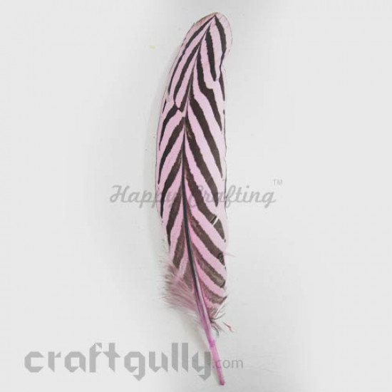 Feathers #5 - 150mm - Baby Pink With Stripes - Pack of 1
