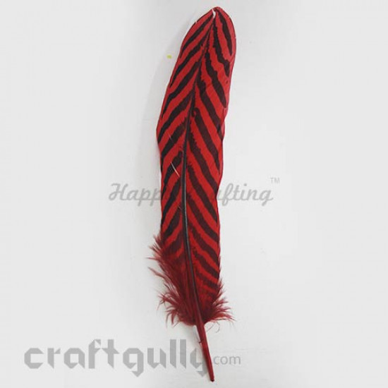 Feathers #5 - 150mm - Red With Stripes - Pack of 1