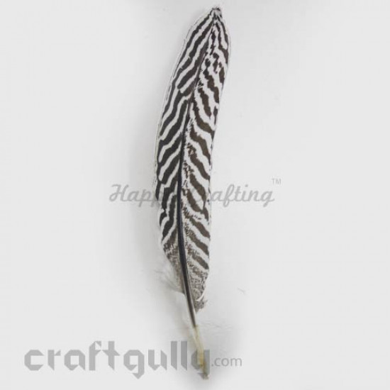 Feathers #5 - 150mm - White With Stripes - Pack of 1