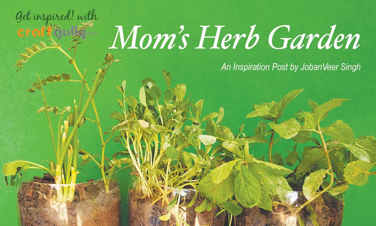 Mom's Herb Garden