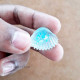 Resin Elements Shell #1 - Clear & Blue Flakes - Pack of 1