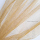 Net Fabric - Golden - 0.5 mtr x 1 mtr