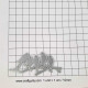 Thin Cut Dies - Birds #1 - Pack of 1