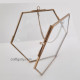 Floating Frames #1 - 7inches Hexagonal Golden Finish - 1 Frame