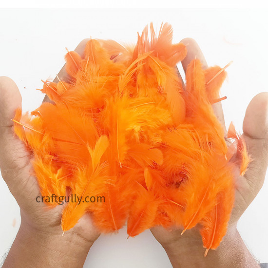 Feathers #13 - Orange - 3 gms
