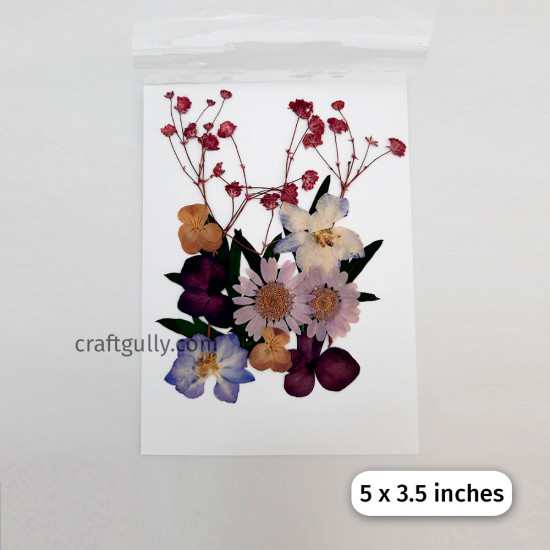 Dried Flowers #1 - Assorted - 1 Set