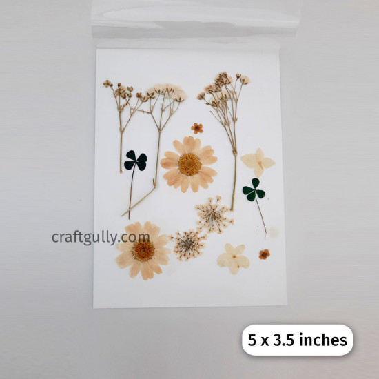 Dried Flowers #2 - Assorted - 1 Set
