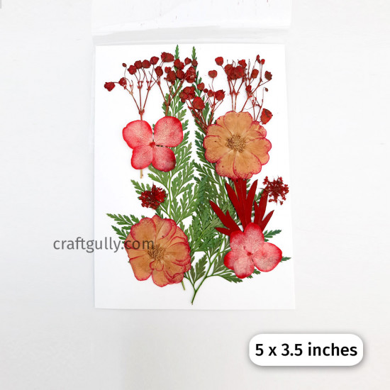 Dried Flowers #3 - Assorted - 1 Set