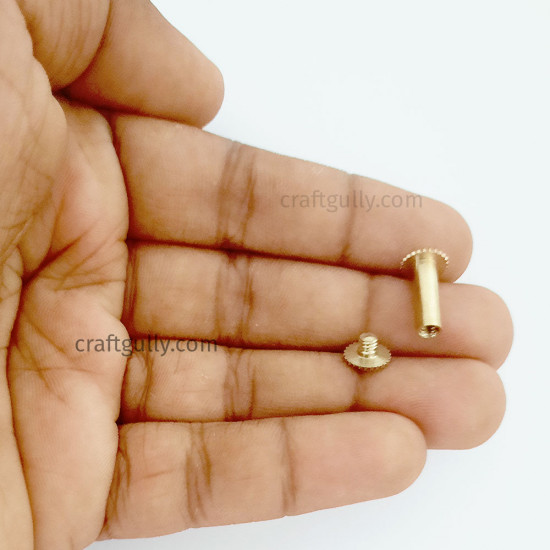 Brass Screw Posts 1/2 inch - 6 Screws