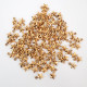 Acrylic Charms 14mm Star #1 - A. Golden - 20gms