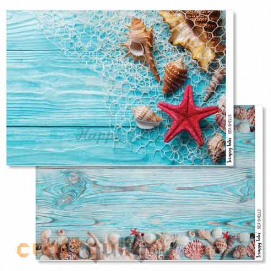 Decoupage Papers A4 - Sea Shells - 100gsm - Pack of 4