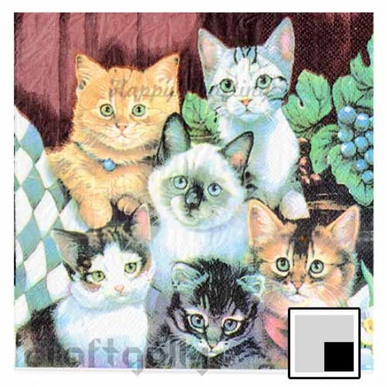 Decoupage Napkins #155 - 2 Ply - Pack of 1