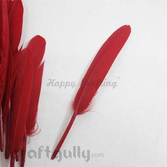 Feathers #2 - 100mm - Red - Pack of 2