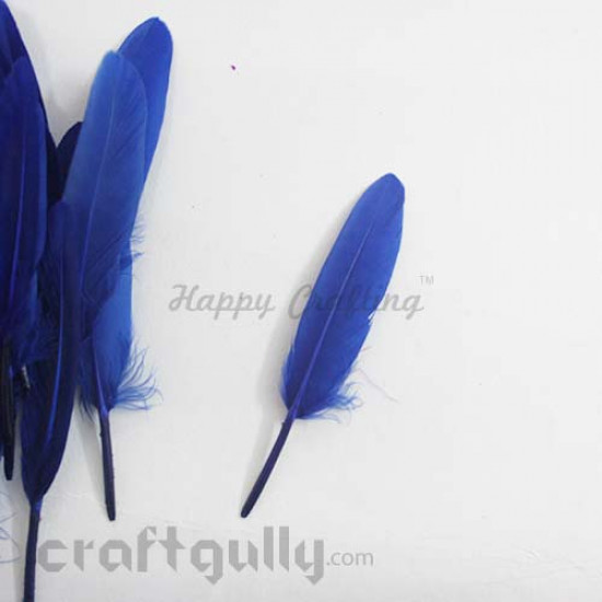 Feathers #2 - 80mm - Dark Blue - Pack of 2