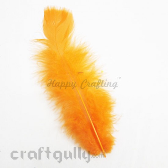 Feathers #3 - 160mm - Orange - Pack of 1