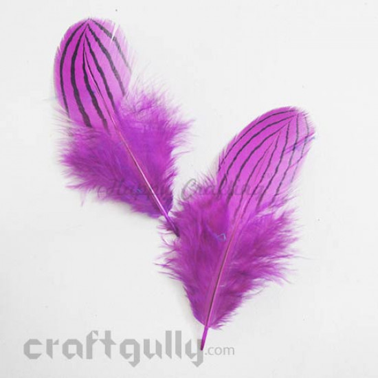 Feathers #4 - 70mm - Magenta With Lines - Pack of 2