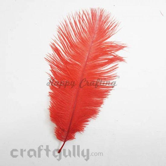 Feathers #6 - 160mm Ostrich - Red - Pack of 1