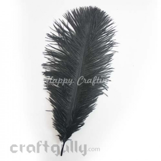 Feathers #6 - 160mm Ostrich - Black - Pack of 1