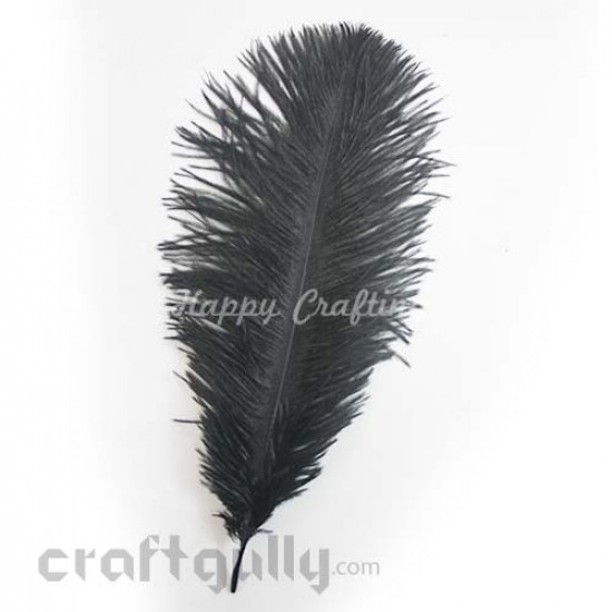 Ostrich Craft Feathers for Sale Online