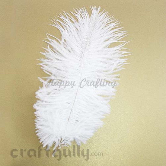 Feathers #6 - 160mm Ostrich - White - Pack of 1