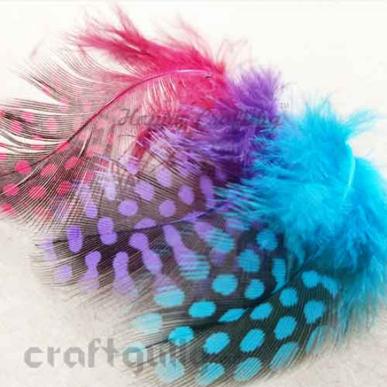 Feathers #10 - 100mm - Teal With Black Polka - Pack of 10