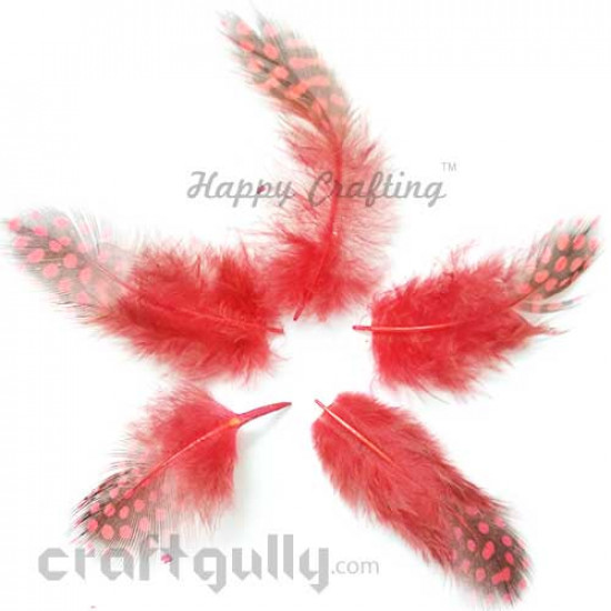 Feathers #10 - 100mm - Red With Black Polka - Pack of 10