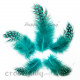 Feathers #10 - 100mm - Teal With Black Polka - Pack of 10