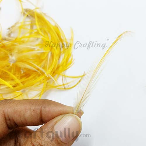 Feathers #9 - 60mm - Golden Yellow - Pack of 6