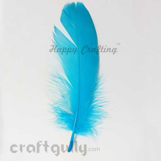 Feathers #12 - 140mm - Sky Blue - Pack of 1