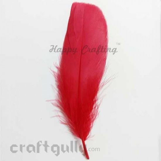 Feathers #12 - 130mm - Red - Pack of 1