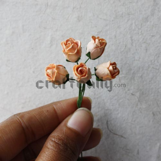 Paper Roses - Mini5 - Peach