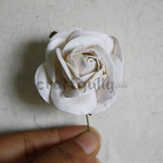 Paper Rose - White