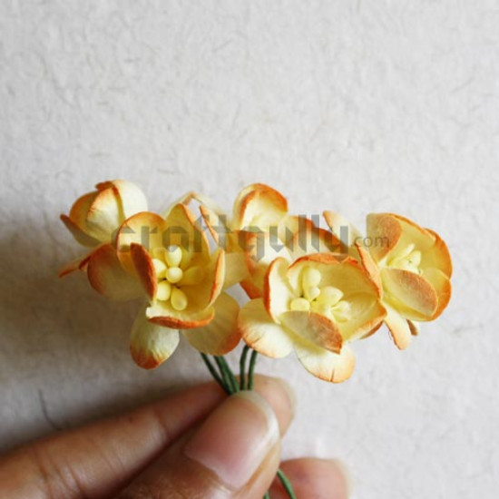 Paper Blooms - Bunch of 5 - Orange Shaded
