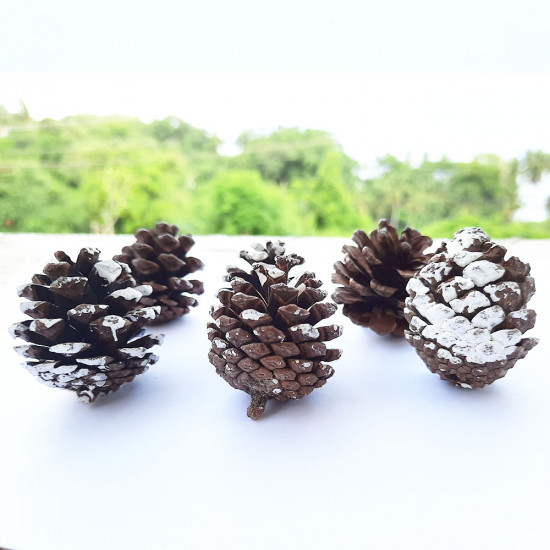 Pine Cones 35mm - Pack of 2