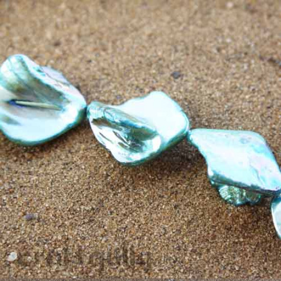 Shell Beads - Natural Large - Blues - 18 beads