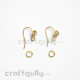 Earring Hooks with Rhinestone - Golden Finish - 1 Pair