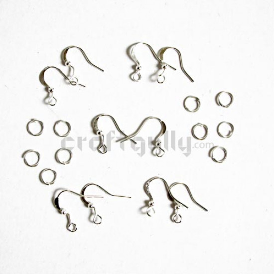 Earring Hooks with Ring - Silver Color #2