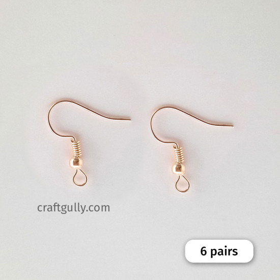 Dainty Stone Hook Earrings - Swaabhi