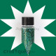 Glitter Large - Hologram Green - 30ml